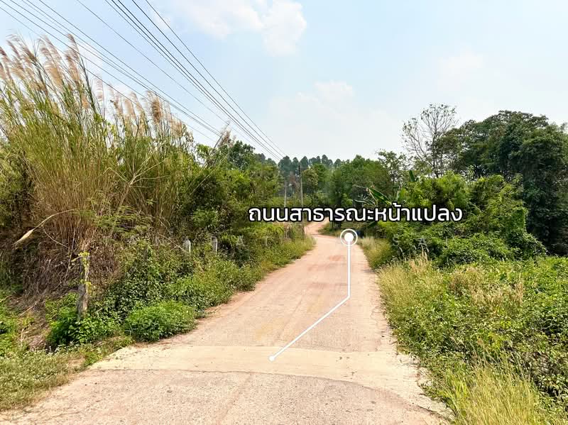 เมืองชุม, เชียงราย, 1173, เมืองชุม, เวียงชัย, เชียงราย, 8,800 ตร.ม., ที่ดิน ขาย, โดย Tanapat Yamsai, 500252194 - DDproperty.com