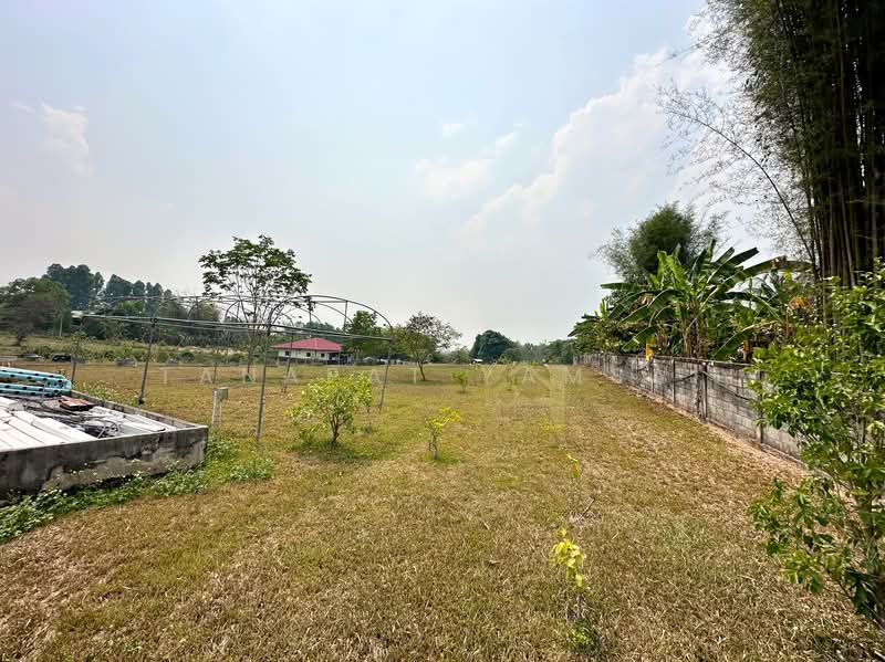 เมืองชุม, Chiang Rai, 1173, Mueng Chum, Wiang Chai, Chiang Rai, , 8,800 sqm, Land For Sale, by Tanapat Yamsai, 500252194 - DDproperty.com