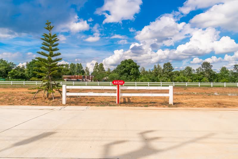 ขาย - The Best Land คลอง 5 ธัญบุรี - คลองหลวง, ปทุมธานี