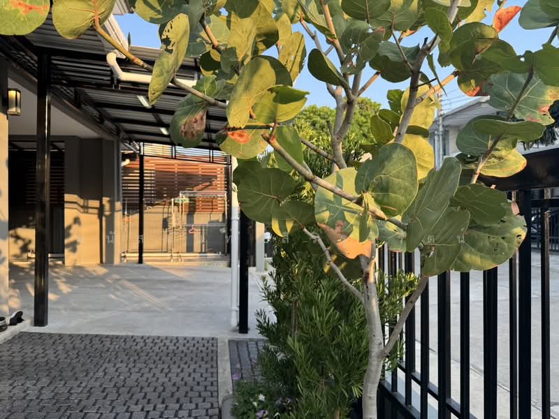 The Plant Estique Pattanakarn 38, Bangkok, Soi Pattanakarn 38, Suan Luang, Suan Luang, Bangkok, 3 Bedrooms, 167 sqm, Single Detached House For Rent, by มนัสนันท์ สิริรุจิรัตน์, 500252212 - DDproperty.com