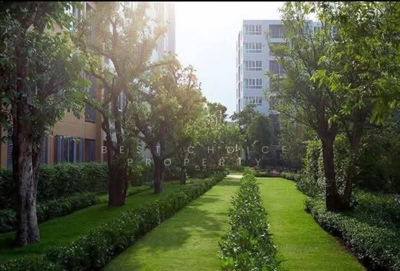 Dcondo Nim, Chiang Mai, 239 Hwy Chiang Mai-Lampang Frontage Road, Fa Ham, Muang Chiang Mai, Chiang Mai, 1 Bedroom, 38 sqm, Condo For Rent, by Best Choice Property, 500252236 - DDproperty.com