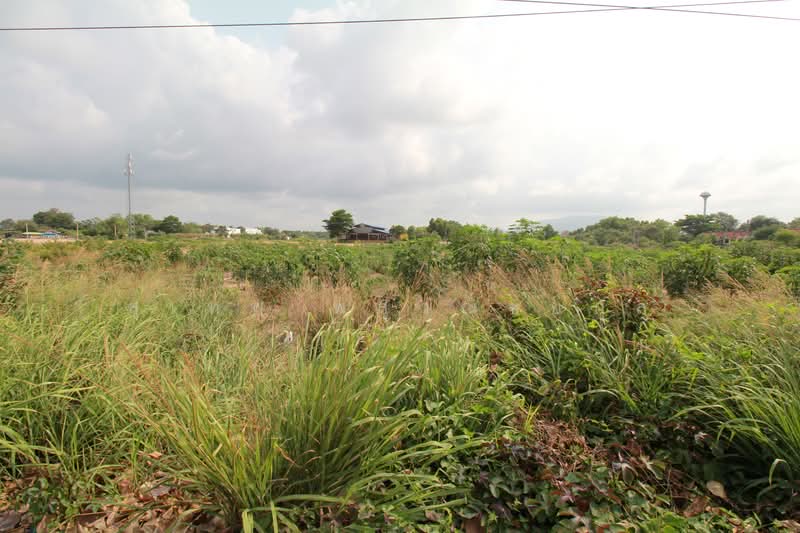 Beachfront Land for Sale 5-2-46 Rai Mae Ramphueng Beach, Rayong Prime Plot with 3 Road Access, Rayong, Taphong, Muang Rayong, Rayong, , 8,984 sqm, Land For Sale, by สุเทพ พสุวณิชย์กุล, 500252240 - DDproperty.com