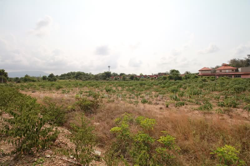 Beachfront Land for Sale 5-2-46 Rai Mae Ramphueng Beach, Rayong Prime Plot with 3 Road Access, Rayong, Taphong, Muang Rayong, Rayong, , 8,984 sqm, Land For Sale, by สุเทพ พสุวณิชย์กุล, 500252240 - DDproperty.com