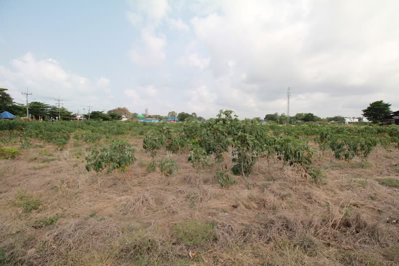 Beachfront Land for Sale 5-2-46 Rai Mae Ramphueng Beach, Rayong Prime Plot with 3 Road Access, Rayong, Taphong, Muang Rayong, Rayong, , 8,984 sqm, Land For Sale, by สุเทพ พสุวณิชย์กุล, 500252240 - DDproperty.com