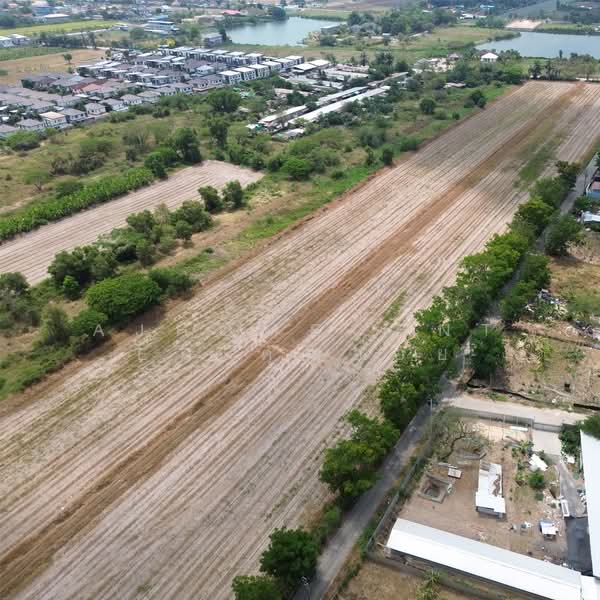 ขาย - ที่ดินเปล่า 41-0-52 ไร่ ซ.มิตรไมตรี10 แยก4, กรุงเทพ