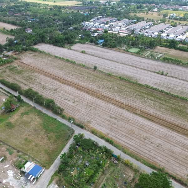 ขาย - ที่ดินเปล่า 41-0-52 ไร่ ซ.มิตรไมตรี10 แยก4, กรุงเทพ