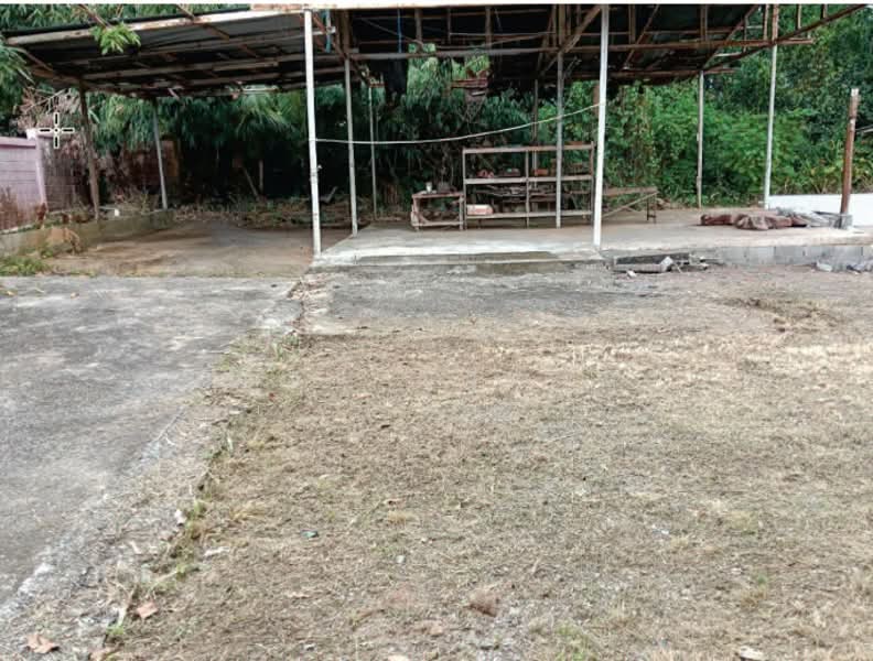 สุราษฎร์ธานี, Surat Thani, Lipa Noi, Ko Samui, Surat Thani, 2 Bedrooms, 424 sqm, Single Detached House For Sale, by คุณณิชชา สุดจันทร์, 500252321 - DDproperty.com