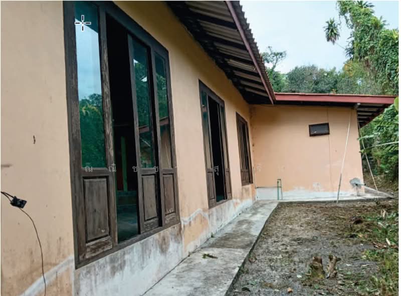 สุราษฎร์ธานี, Surat Thani, Lipa Noi, Ko Samui, Surat Thani, 2 Bedrooms, 424 sqm, Single Detached House For Sale, by คุณณิชชา สุดจันทร์, 500252321 - DDproperty.com