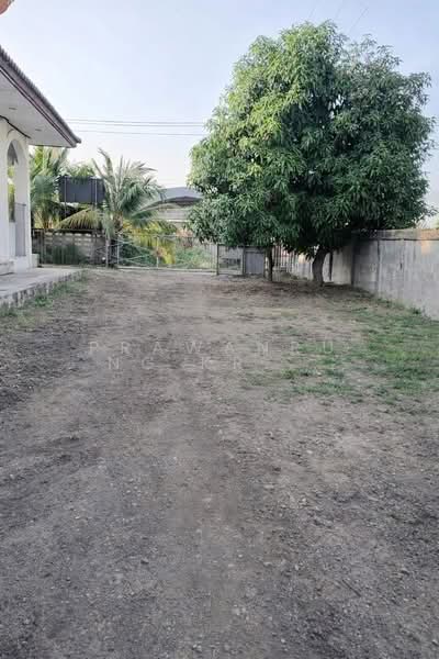 พนัสนิคม, ชลบุรี, พนัสนิคม, พนัสนิคม, ชลบุรี, 1,600 ตร.ม., โกดัง-โรงงาน ให้เช่า, โดย PRAWANRUNG KRAHOMWONG, 500252326 - DDproperty.com