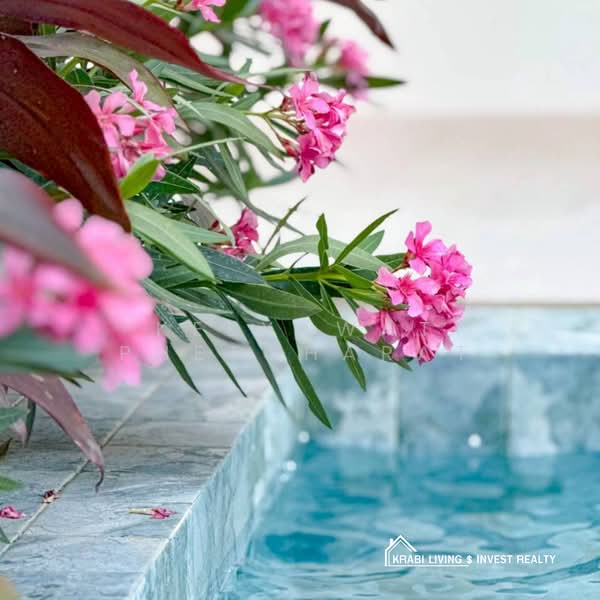 Brand new Premium Pool Villa | Prime Ao Nang and Ready to move in, กระบี่, อ่าวนาง ซอย 1, อ่าวนาง, เมืองกระบี่, กระบี่, 145 ตร.ม., บ้านเดี่ยว ขาย, โดย Keeyawat Phetcharat, 500252404 - DDproperty.com