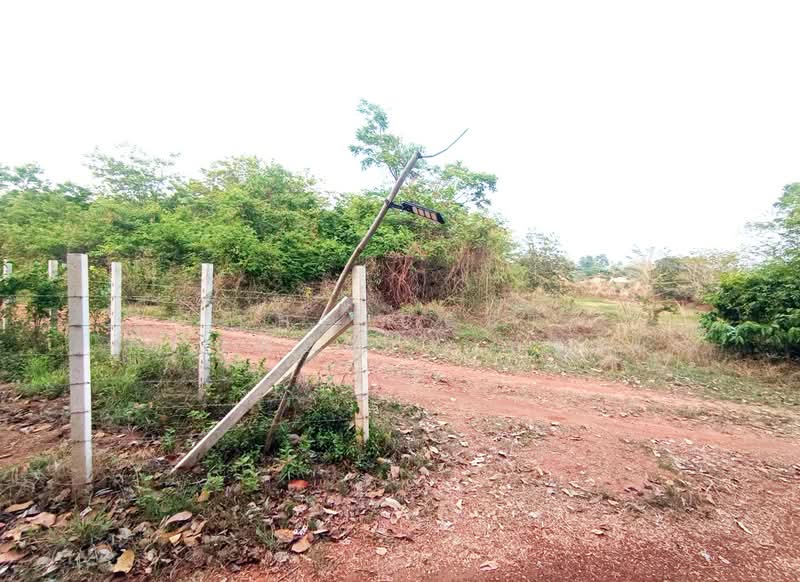 ที่ดินเชียงเครือ สกลนคร, Sakon Nakhon, Chiang Khrua, Muang Sakon Nakhon, Sakon Nakhon, , 23,256 sqm, Land For Sale, by The Best Property ทราย, 500252478 - DDproperty.com