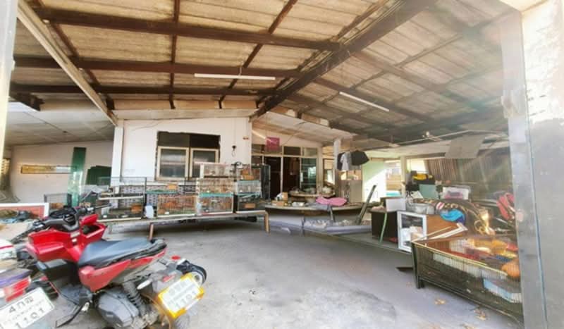 ซอยโชคชัย 4, กรุงเทพ, ลาดพร้าว, ลาดพร้าว, กรุงเทพ, 112 ตร.ม., ที่ดิน ขาย, โดย ชนะชาติ นนท์ตา, 500252480 - DDproperty.com