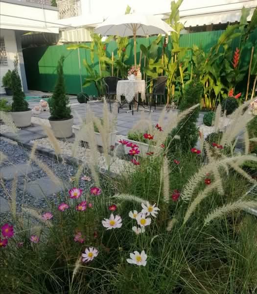 Chaengwattana house, Nonthaburi, -, Khlong Klue, Pak Kret, Nonthaburi, 4 Bedrooms, 240 sqm, Single Detached House For Rent, by Connex Property, 500252482 - DDproperty.com
