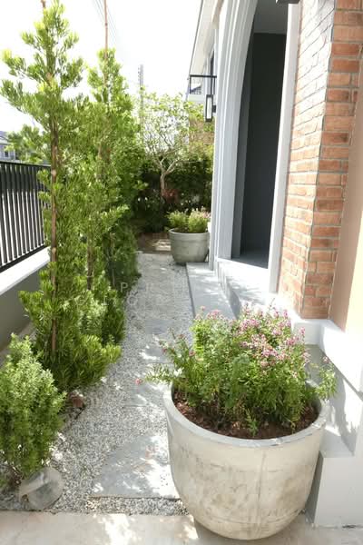 Crown Estate Dulwich Road, Phuket, Ko Kaeo, Muang Phuket, Phuket, 4 Bedrooms, 180 sqm, Single Detached House For Rent, by Prime Global Asset, 500252497 - DDproperty.com