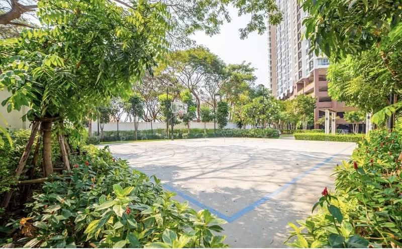 Supalai Monte 2, Chiang Mai, Chiang Mai - Doi Saket Road, Nong Pa Krang, Muang Chiang Mai, Chiang Mai, 1 Bedroom, 46 sqm, Condo For Sale, by The Positive ที่ดิน บ้าน คอนโด, 500252541 - DDproperty.com