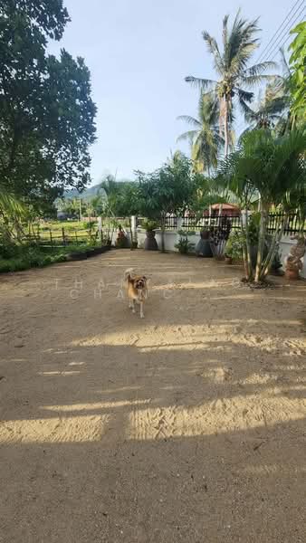 3-BR House, Surat Thani, Nha Mueng, Ko Samui, Surat Thani, 3 Bedrooms, 75 sqm, Single Detached House For Sale, by Thanyalag Chanchodtanakul, 500252639 - DDproperty.com