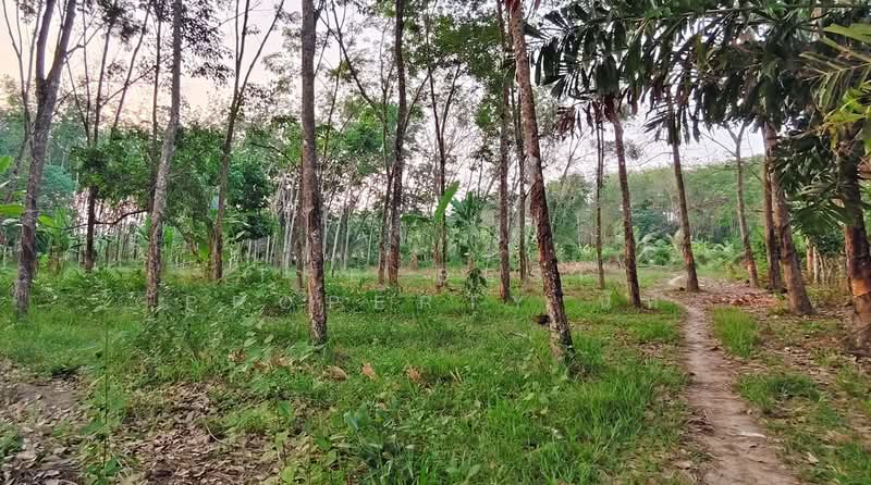 ขาย - ที่ดินไชยมนตรี นครศรีธรรมราช, นครศรีธรรมราช