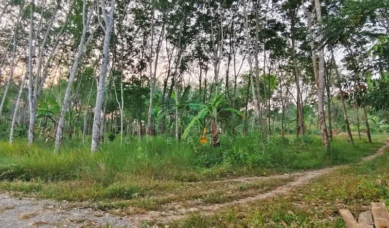 ขาย - ที่ดินไชยมนตรี นครศรีธรรมราช, นครศรีธรรมราช