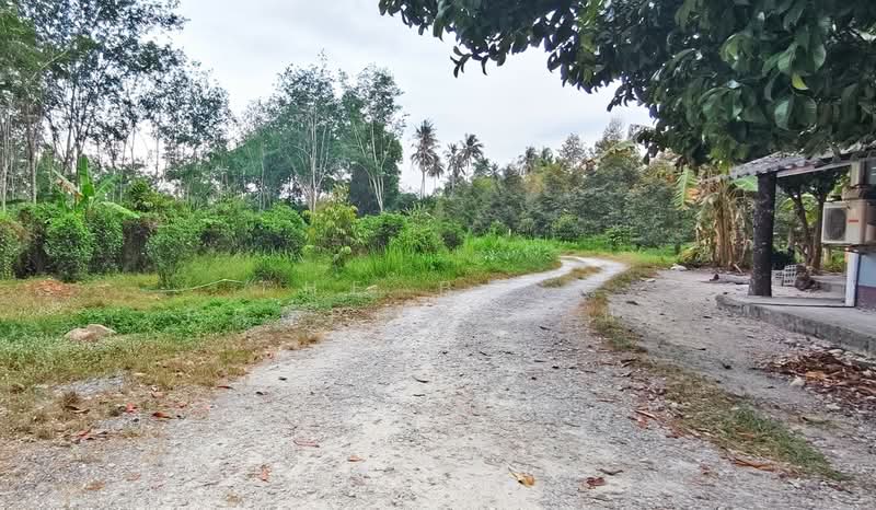 ขาย - ที่ดินไชยมนตรี นครศรีธรรมราช, นครศรีธรรมราช