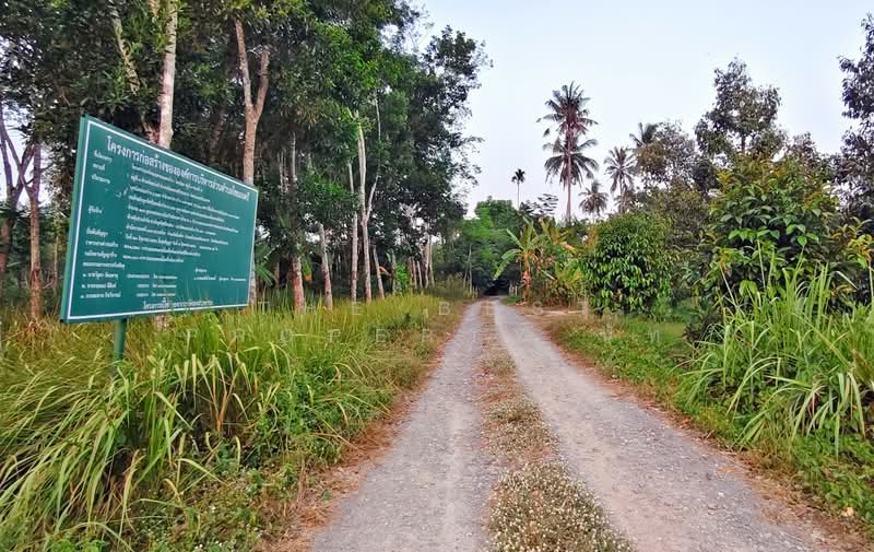 ขาย - ที่ดินไชยมนตรี นครศรีธรรมราช, นครศรีธรรมราช