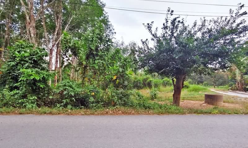 ที่ดินไชยมนตรี นครศรีธรรมราช, Nakhon Si Thammarat, Chaimontri, Muang Nakhon Sri Thammarat, Nakhon Si Thammarat, , 2,400 sqm, Land For Sale, by The Best Property นัท, 500252669 - DDproperty.com