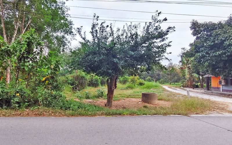 ที่ดินไชยมนตรี นครศรีธรรมราช, Nakhon Si Thammarat, Chaimontri, Muang Nakhon Sri Thammarat, Nakhon Si Thammarat, , 2,400 sqm, Land For Sale, by The Best Property นัท, 500252669 - DDproperty.com