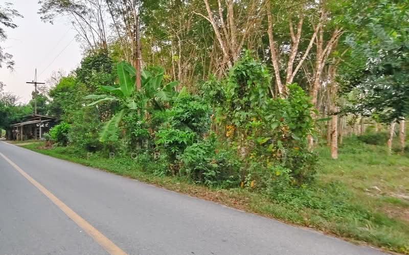 ขาย - ที่ดินไชยมนตรี นครศรีธรรมราช, นครศรีธรรมราช