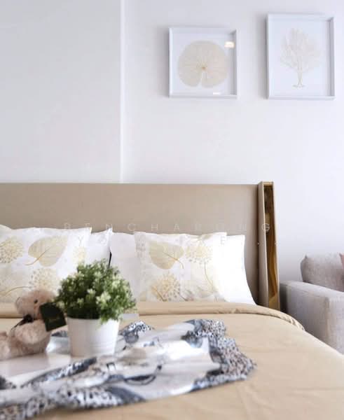 Life One Wireless : ไลฟ์ วัน วิทยุ, กรุงเทพ, 1 ถนนวิทยุ, ลุมพินี, ปทุมวัน, กรุงเทพ, 24 ตร.ม., คอนโด ให้เช่า, โดย Bencharong (Yok) Treerat-a-na-wat, 500252723 - DDproperty.com