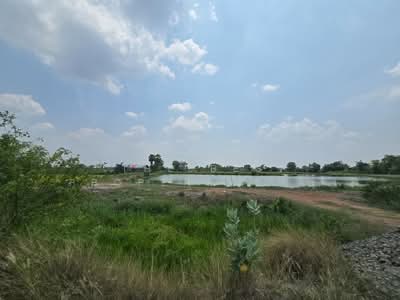 ขาย - ที่ดินแปลงยาว ฉะเชิงเทรา, ฉะเชิงเทรา