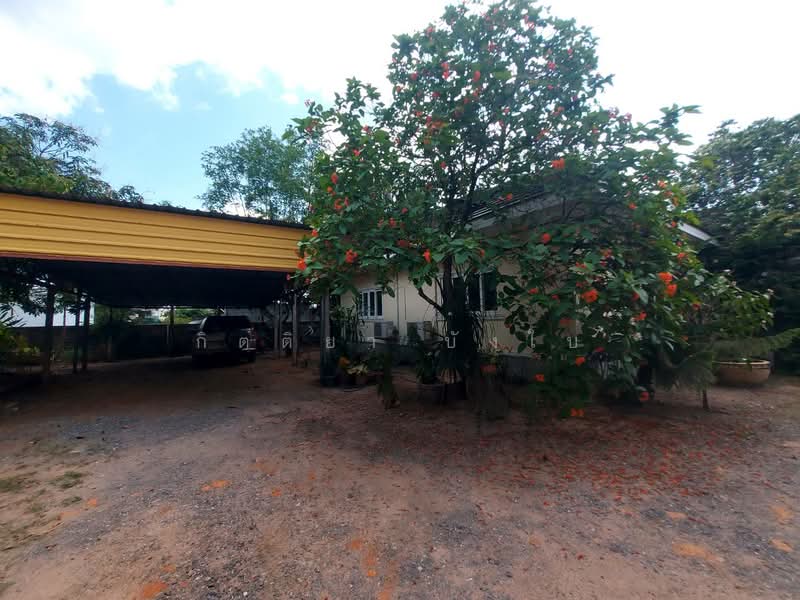 For Sale - พี.เค.ธานี2, Udon Thani