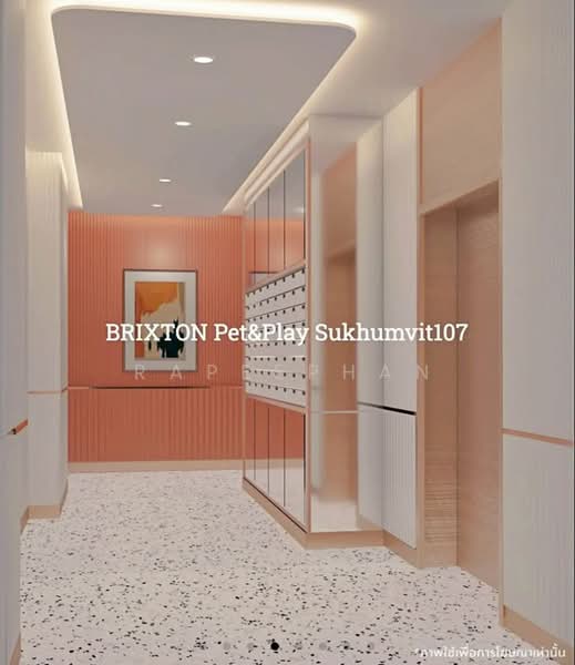 Brixton Pet & Play Sukhumvit 107, Samut Prakan, Sukhumvit 107, Samrong Nua, Muang Samut Prakarn, Samut Prakan, 1 Bedroom, 27 sqm, Condo For Rent, by Rapeephan, 500252759 - DDproperty.com