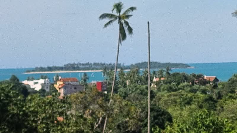 undefined, สุราษฎร์ธานี, บ่อผุด, เกาะสมุย, สุราษฎร์ธานี, 380 ตร.ม., บ้านเดี่ยว ขาย, โดย Thanyalag Chanchodtanakul, 500252777 - DDproperty.com