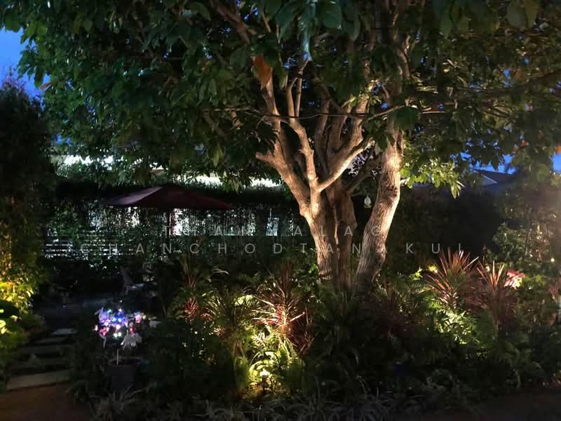 บ้าน 4-ห้องนอน, สุราษฎร์ธานี, บางกุ้ง, เมืองสุราษฎร์ธานี, สุราษฎร์ธานี, 325 ตร.ม., บ้านเดี่ยว ขาย, โดย Thanyalag Chanchodtanakul, 500252817 - DDproperty.com