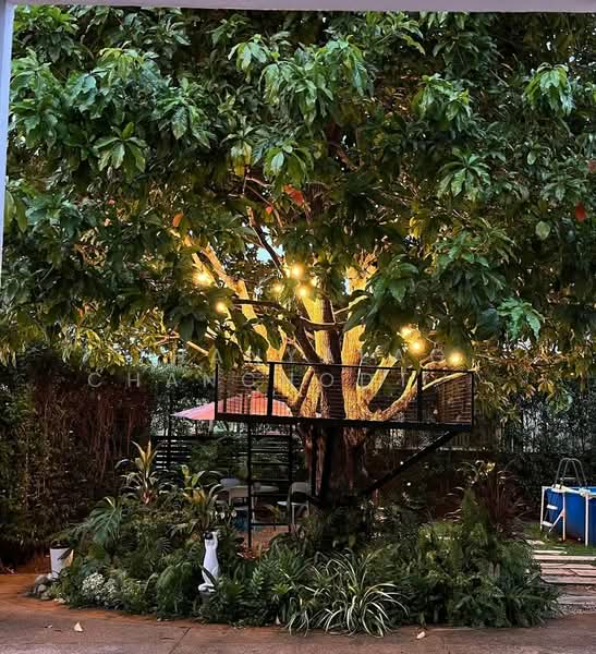 4-BR House, Surat Thani, Bang Kung, Muang Surat Thani, Surat Thani, 4 Bedrooms, 325 sqm, Single Detached House For Sale, by Thanyalag Chanchodtanakul, 500252817 - DDproperty.com