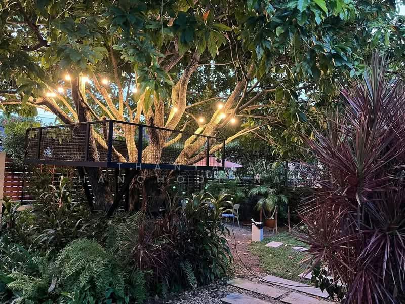 4-BR House, Surat Thani, Bang Kung, Muang Surat Thani, Surat Thani, 4 Bedrooms, 325 sqm, Single Detached House For Sale, by Thanyalag Chanchodtanakul, 500252817 - DDproperty.com