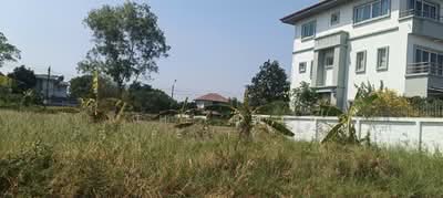 ขาย - Flora Ville Park City Suwinthawong : ฟลอร่าวิลล์ พาร์ค ซิตี้ สุวินทวงศ์, กรุงเทพ