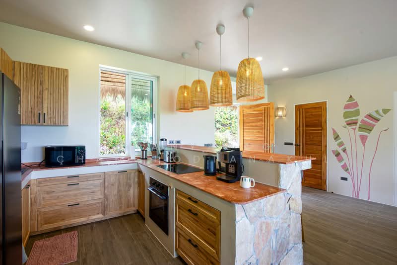 3-BR Villa, Surat Thani, Ko Phangan, Ko Phangan, Surat Thani, 3 Bedrooms, 320 sqm, Villa For Sale, by Thanyalag Chanchodtanakul, 500252858 - DDproperty.com