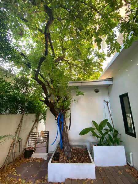 Villa Arcadia Srinakarin : วิลล่า อะคาเดีย ศรีนครินทร์, สมุทรปราการ, ซอย หมู่บ้านวิลล่าอะคาเดียศรีนครินทร์, บางแก้ว, บางพลี, สมุทรปราการ, 240 ตร.ม., บ้านเดี่ยว ให้เช่า, โดย Tittayaporn Kim (Jenny), 500252861 - DDproperty.com