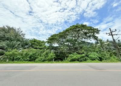 ขาย - ที่ดินท่าชนะ สุราษฎร์ธานี, สุราษฎร์ธานี