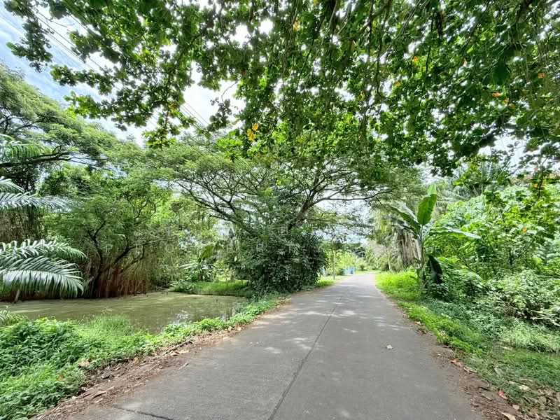 ที่ดินท่าชนะ สุราษฎร์ธานี, Surat Thani, Tha Chana, Tha Chana, Surat Thani, , 1,096 sqm, Land For Sale, by The Best Property อาท, 500252880 - DDproperty.com