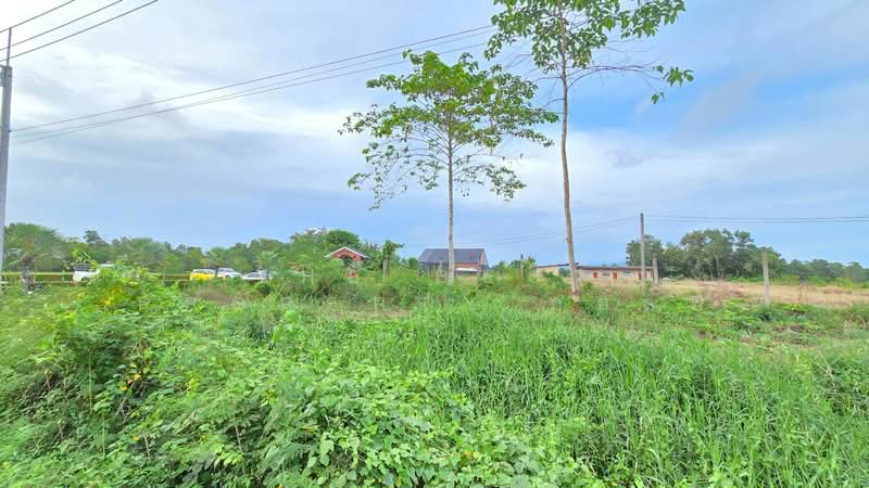 ที่ดินท่าใหม่ จันทบุรี, Chanthaburi, Tha-Mai, Tha Mai, Chanthaburi, , 660 sqm, Land For Sale, by The Best Property กอล์ฟ, 500252891 - DDproperty.com