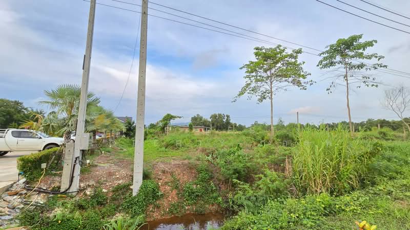 ที่ดินท่าใหม่ จันทบุรี, Chanthaburi, Tha-Mai, Tha Mai, Chanthaburi, , 660 sqm, Land For Sale, by The Best Property กอล์ฟ, 500252891 - DDproperty.com