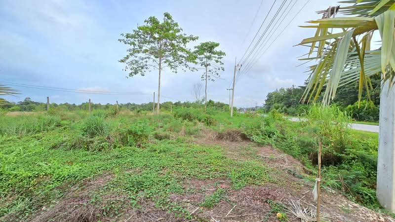 ที่ดินท่าใหม่ จันทบุรี, จันทบุรี, ท่าใหม่, ท่าใหม่, จันทบุรี, 660 ตร.ม., ที่ดิน ขาย, โดย The Best Property กอล์ฟ, 500252891 - DDproperty.com