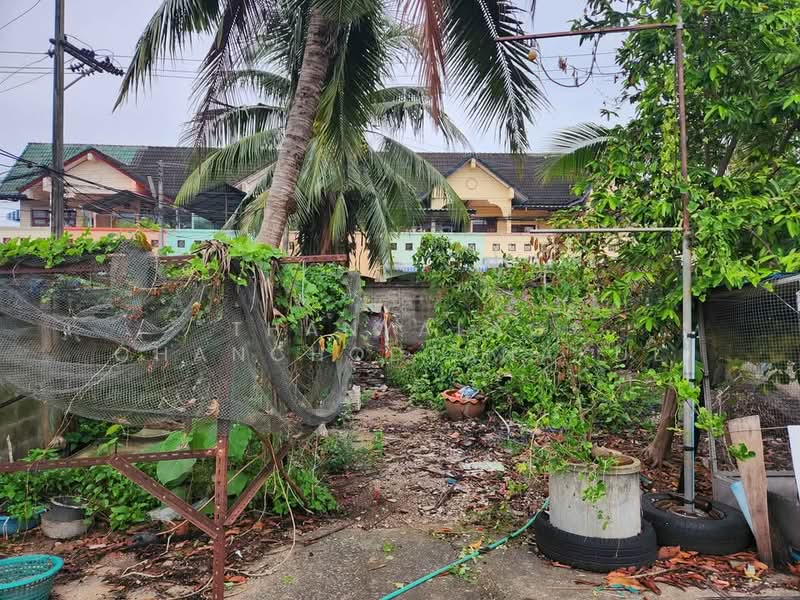 Studio House, Surat Thani, Makham Tia, Muang Surat Thani, Surat Thani, Studio, 47 sqm, Single Detached House For Sale, by Thanyalag Chanchodtanakul, 500252892 - DDproperty.com