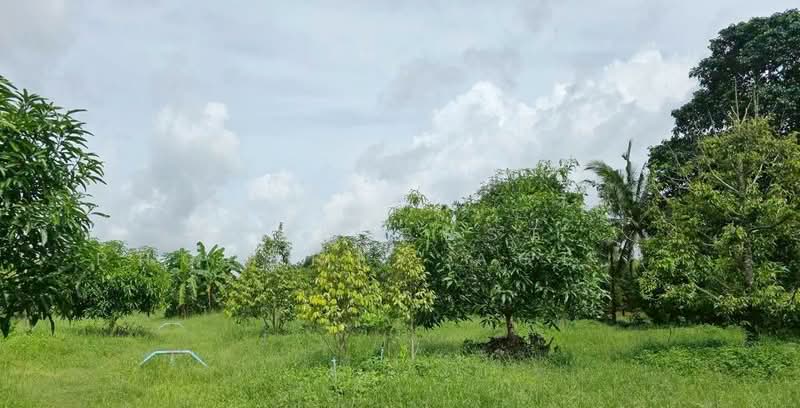 ที่ดินท่าใหม่ จันทบุรี, Chanthaburi, Tha-Mai, Tha Mai, Chanthaburi, , 14,576 sqm, Land For Sale, by The Best Property Agent กอล์ฟ, 500252893 - DDproperty.com