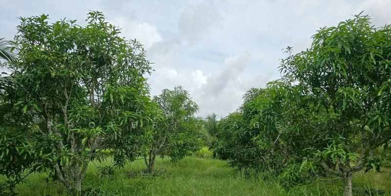 ที่ดินท่าใหม่ จันทบุรี, จันทบุรี, ท่าใหม่, ท่าใหม่, จันทบุรี, 14,576 ตร.ม., ที่ดิน ขาย, โดย The Best Property Agent กอล์ฟ, 500252893 - DDproperty.com