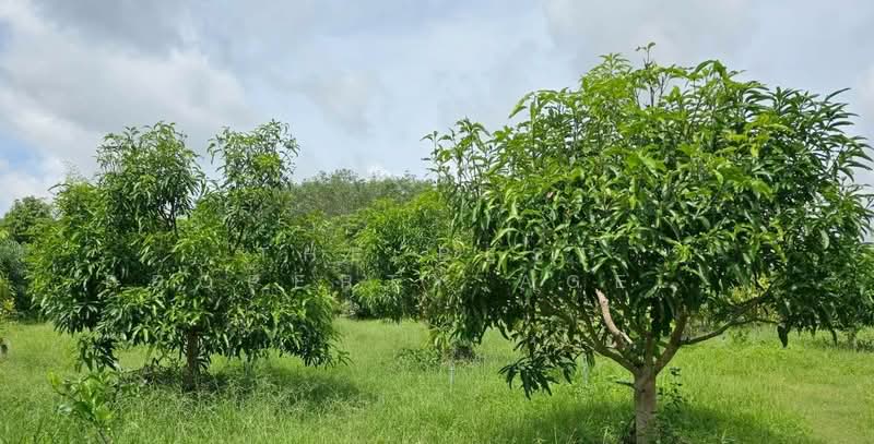 ที่ดินท่าใหม่ จันทบุรี, Chanthaburi, Tha-Mai, Tha Mai, Chanthaburi, , 14,576 sqm, Land For Sale, by The Best Property Agent กอล์ฟ, 500252893 - DDproperty.com