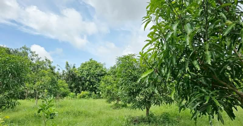 ที่ดินท่าใหม่ จันทบุรี, จันทบุรี, ท่าใหม่, ท่าใหม่, จันทบุรี, 14,576 ตร.ม., ที่ดิน ขาย, โดย The Best Property Agent กอล์ฟ, 500252893 - DDproperty.com