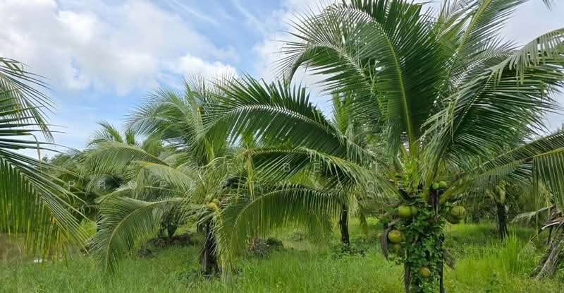 ที่ดินท่าใหม่ จันทบุรี, Chanthaburi, Tha-Mai, Tha Mai, Chanthaburi, , 14,576 sqm, Land For Sale, by The Best Property Agent กอล์ฟ, 500252893 - DDproperty.com