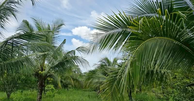 ที่ดินท่าใหม่ จันทบุรี, Chanthaburi, Tha-Mai, Tha Mai, Chanthaburi, , 14,576 sqm, Land For Sale, by The Best Property Agent กอล์ฟ, 500252893 - DDproperty.com